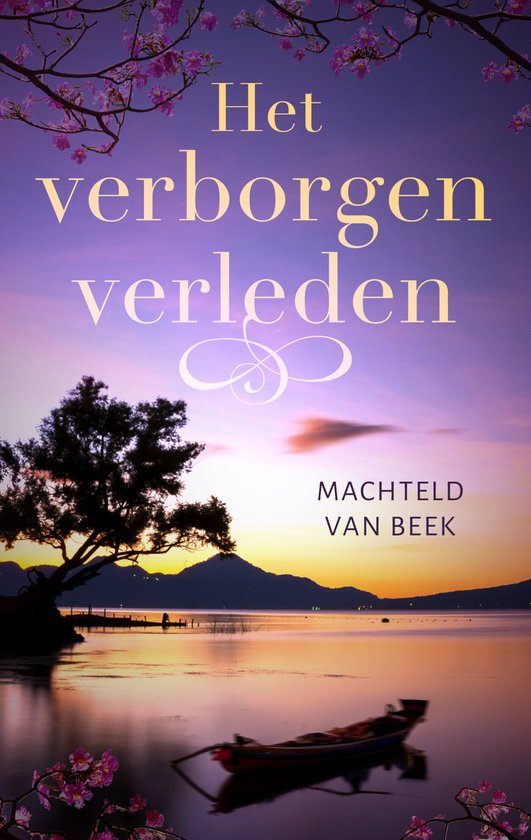 Het verborgen verleden - cover