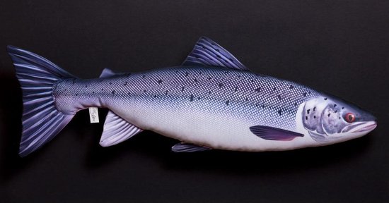 Kussen vis - Zalm - Meerkleurig - Vismodel kussen - Groot formaat - Sierkussen - 85 cm