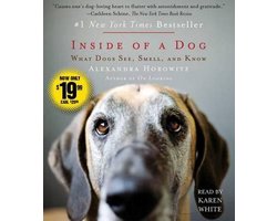 Inside of a Dog
