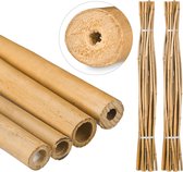 Relaxdays 50 x Bamboestokken - 150 cm - bamboe - tonkinstokken - tuin – plantensteun