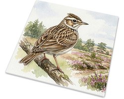 Boomleeuwerik op een tak in heidelandschap met naaldbomen - Glanzende tegel wanddecoratie vogels - Aquarel Series natuur muurdecoratie natuurliefhebber cadeau voor hem & haar: Vrouw, Vriend(in) & Collega - Woonaccessoire vogel spotten flora fauna