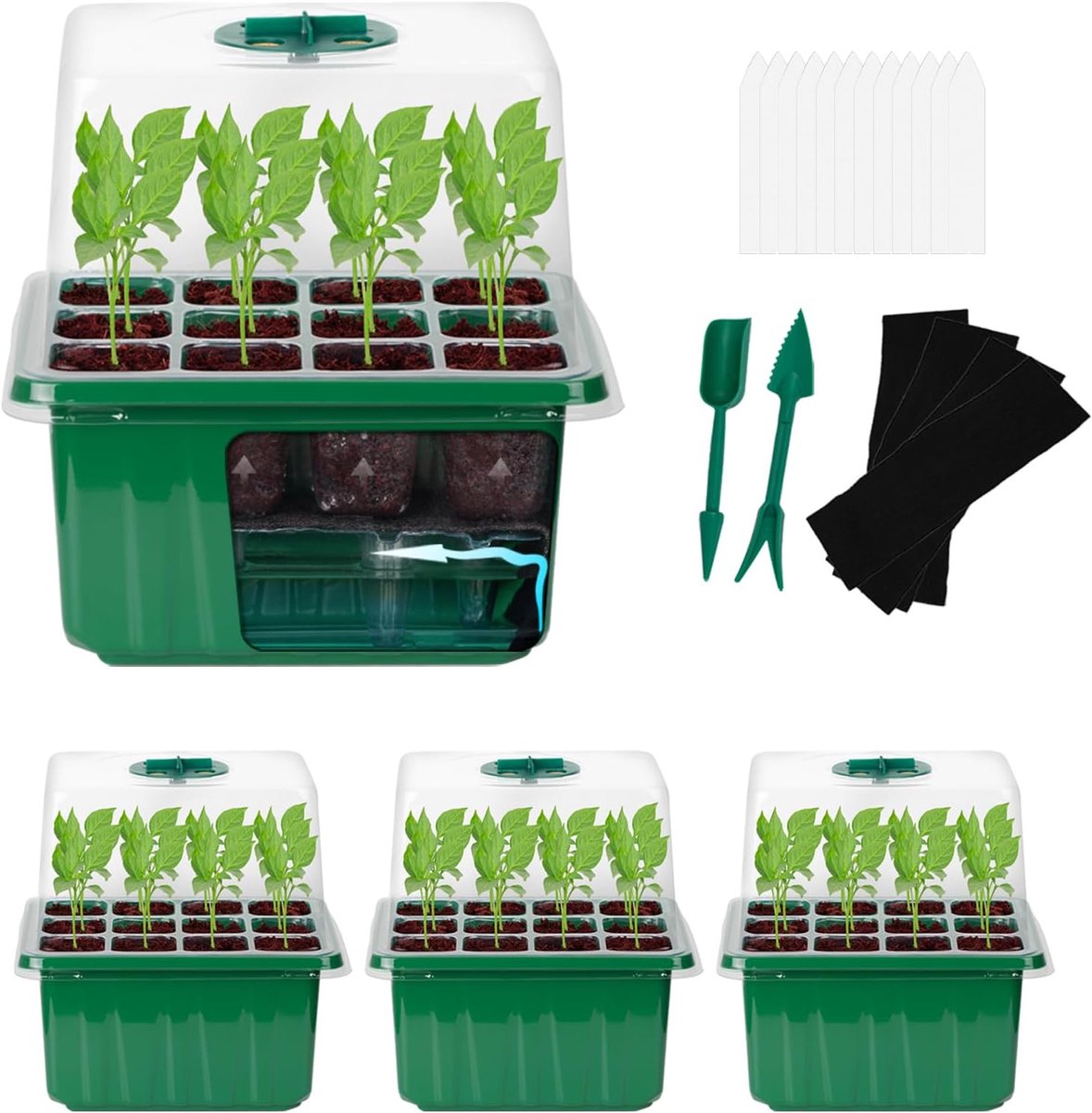 Zaadstarter Bak - Kweekbak Set - Zaad Ontkieming - Zelfbewaterend Systeem - 18.9 x 17.8 x 15 cm - Groen