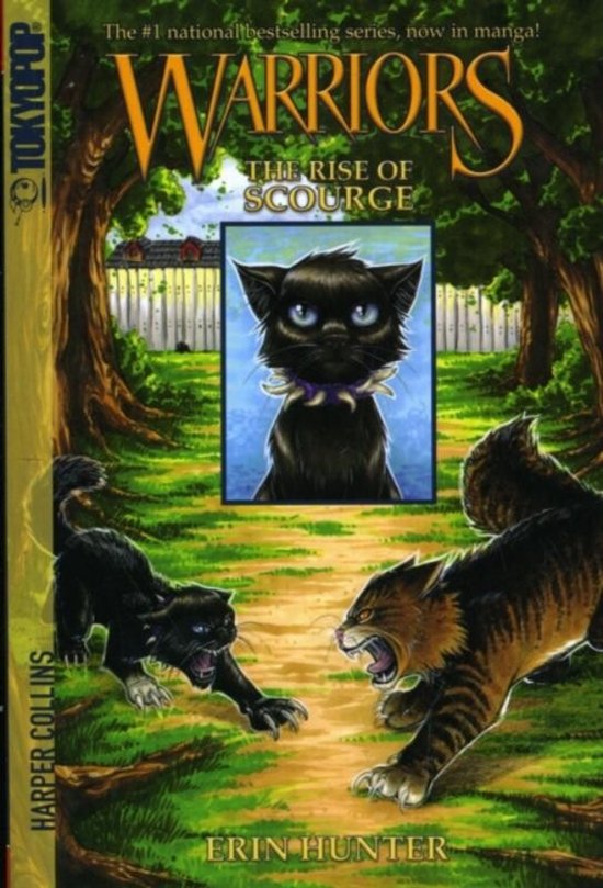 Warriors - cover
