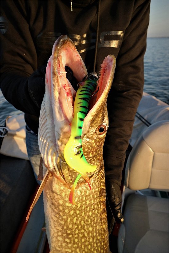 Spro Iris Shocktail Roach 20cm Kunstaas voor Roofvissen van Spro — afbeelding 4