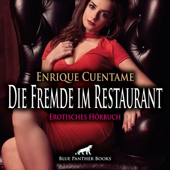 Die Fremde im Restaurant / Erotik Audio Story / Erotisches H ... - cover