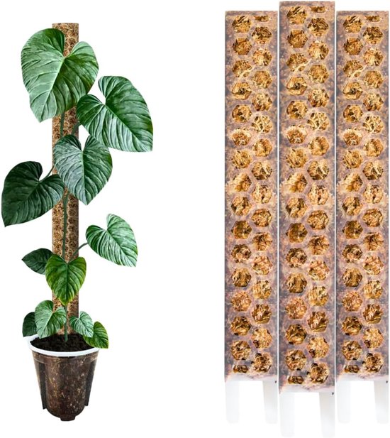 Foto: Mosstok plantsteun klimhulp accessoires binnenplanten ondersteunen duurzaam polypropyleen materiaal 30cm lengte mat