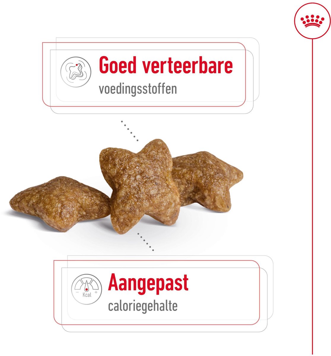 Royal Canin Mini Adult hondenvoer 3 x 2 kg thumbnail 3