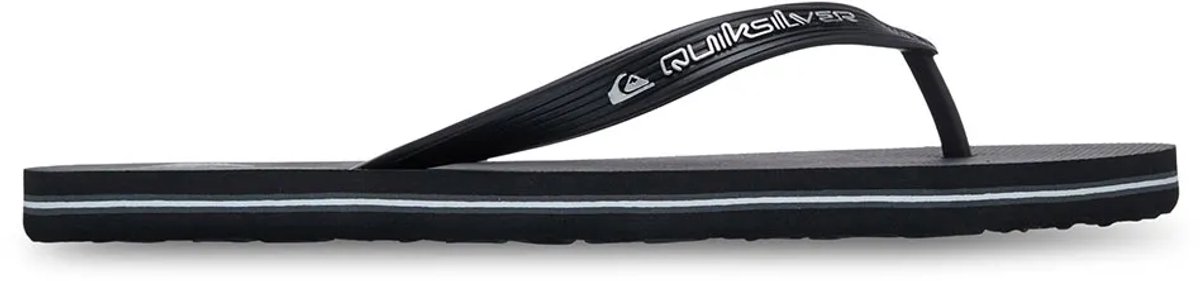 Quiksilver Molokai Core Sandalen Man Zilver