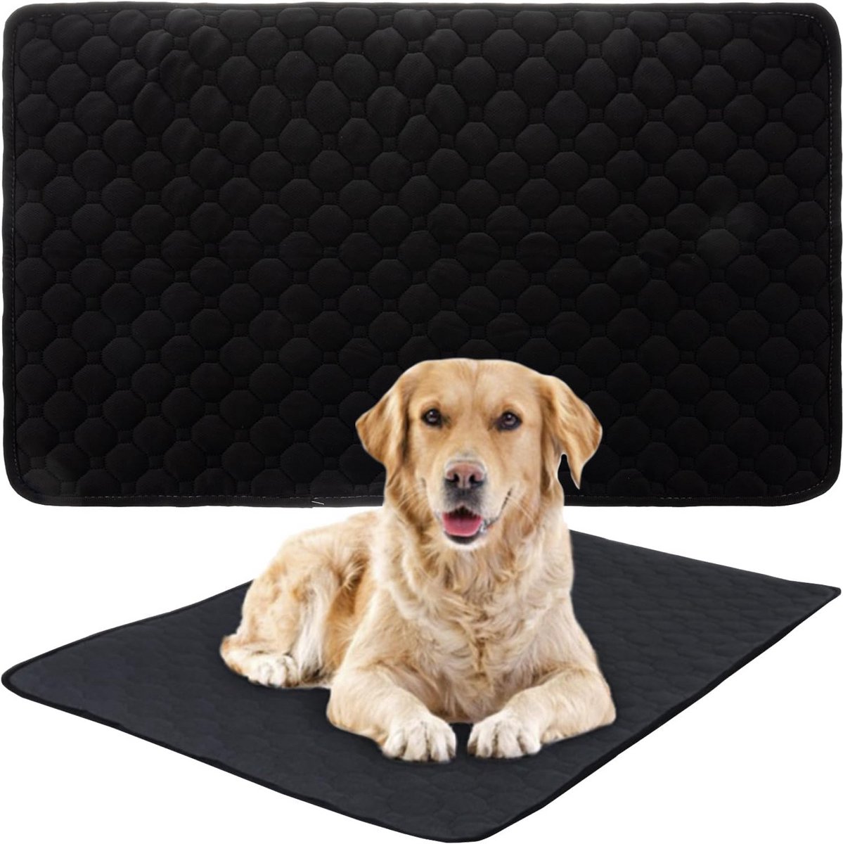 Herbruikbare Trainingsmat voor Honden en Puppy's - 70x50 cm