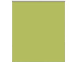 vidaXL - Rolgordijn - verduisterend - 120x175 - cm - stofbreedte - 116,6 - cm