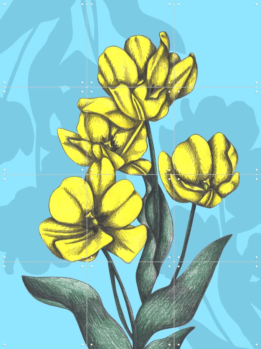 IXXI Yellow Tulips, Cecilia Battaini - 60 x 80 cm - Gratis ophangtool - Grote wanddecoratie en posters - Grafisch Ontwerp, Digitale Kunst
