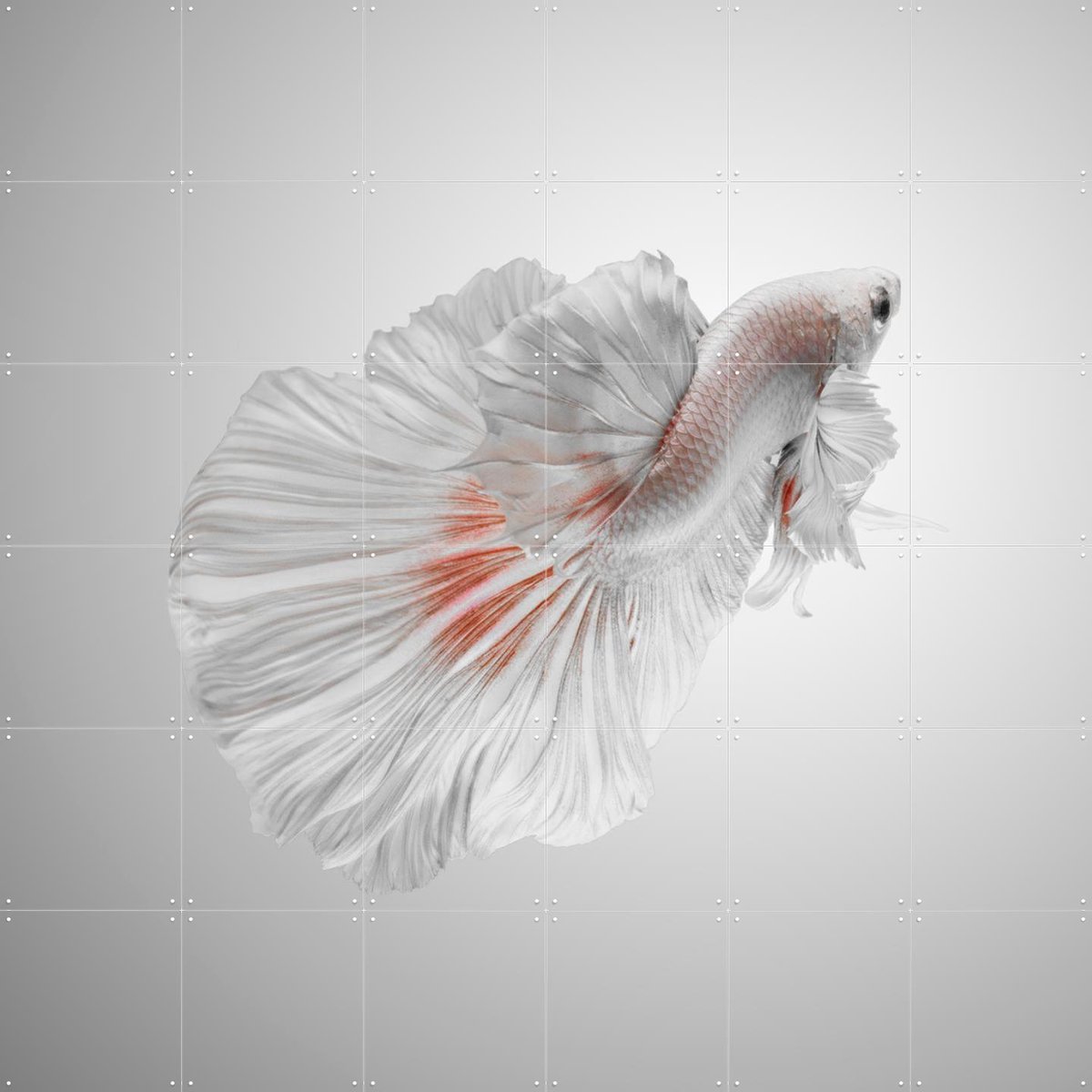 IXXI White Betta, Andi Halil & Various - 120 x 120 cm - Gratis ophangtool - Grote wanddecoratie en posters - Digitale Kunst, Fotografie, Slaapkamer