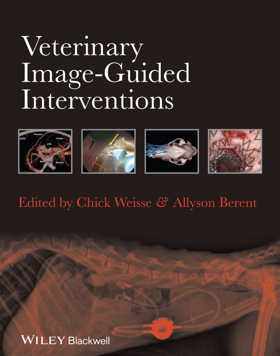 Veterinary Image-Guided Interventions - cover