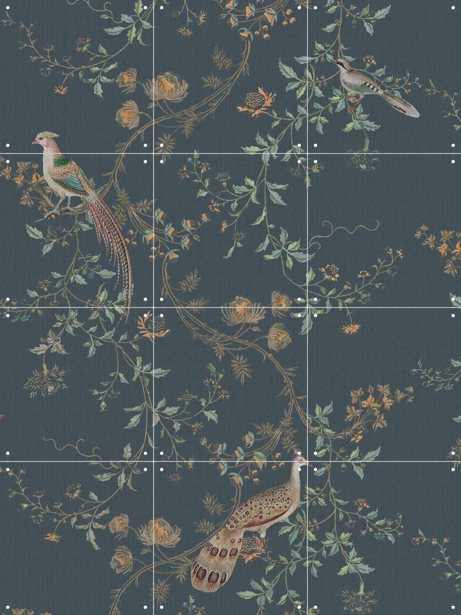 IXXI Dark Chinoiseries Birds, Bloomery Decor - 60 x 80 cm - Gratis ophangtool - Grote wanddecoratie en posters - Ornamenteel Ontwerp, Klassiek