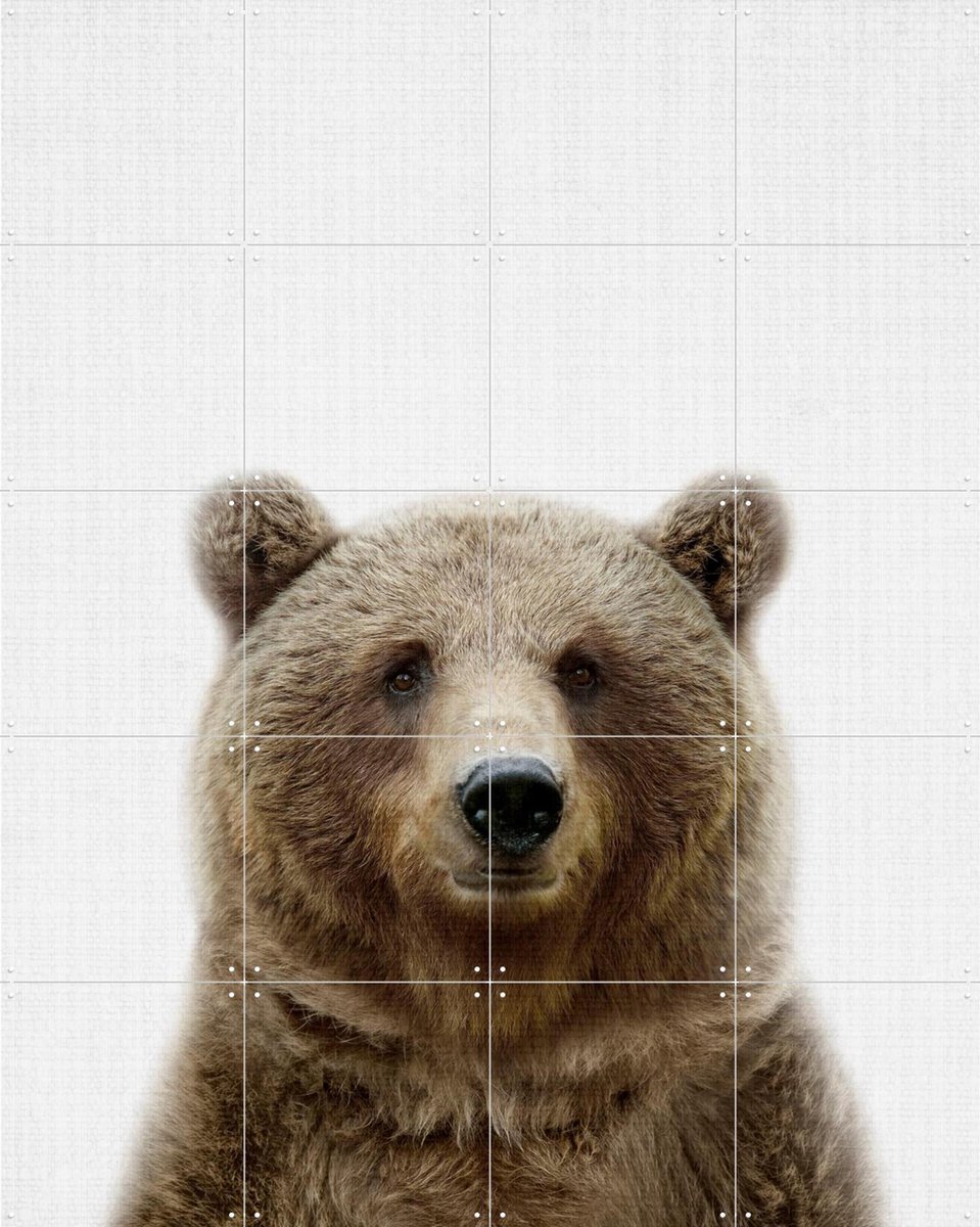 IXXI Bear, Lila + Lola - 80 x 100 cm - Gratis ophangtool - Grote wanddecoratie en posters - Realisme, Fotografie, Grafisch Ontwerp, Kinderkamer