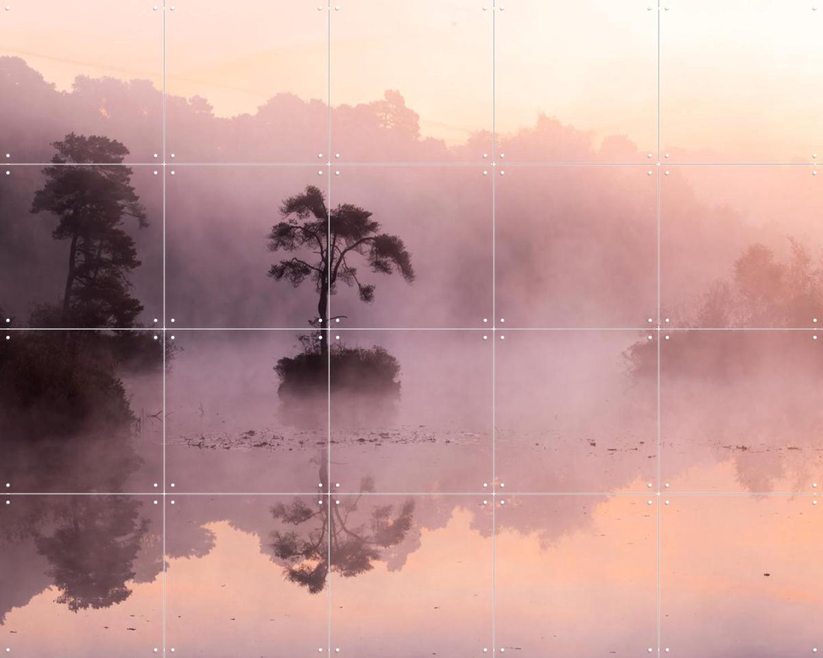 IXXI Lonely Tree in Oisterwijk, Made by IXXI - 100 x 80 cm - Gratis ophangtool - Grote wanddecoratie en posters - Fotografie, Woonkamer