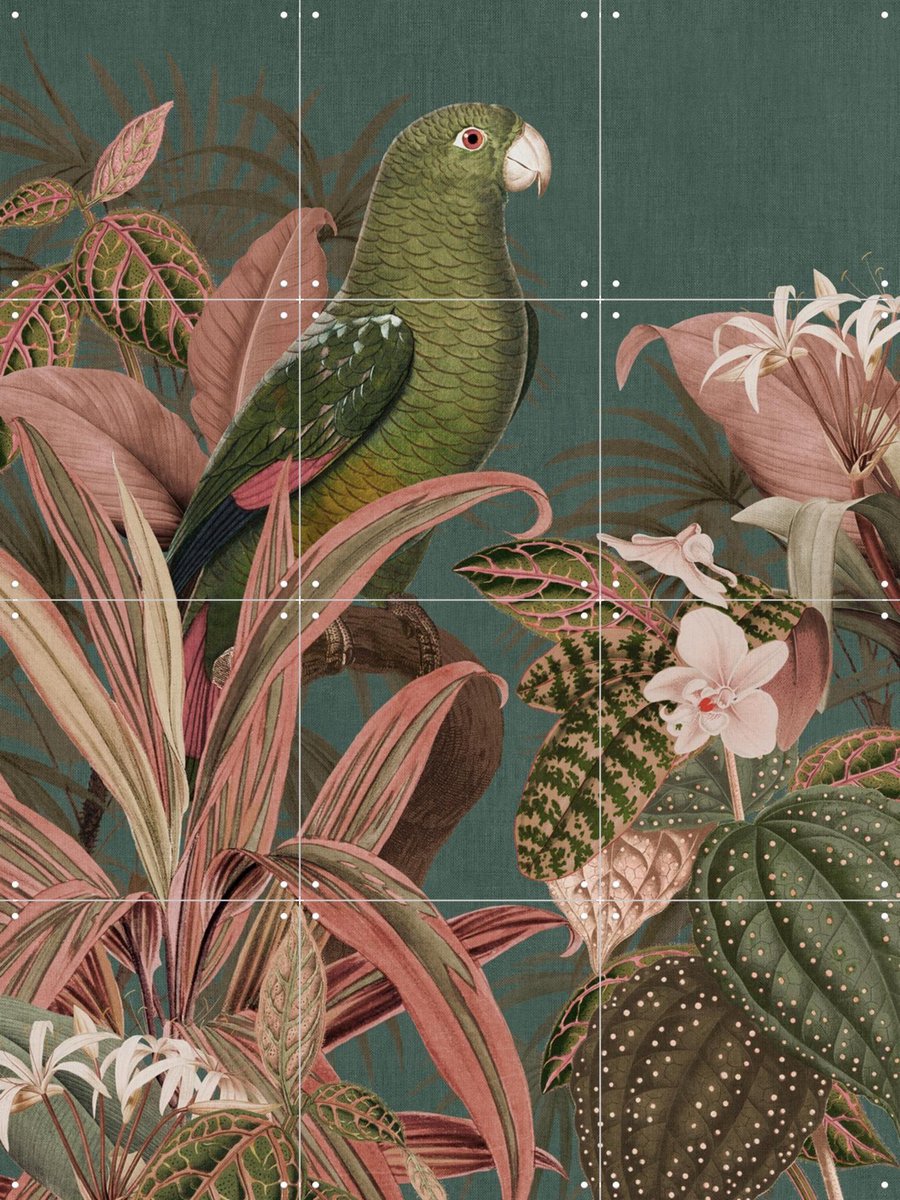 IXXI Green Parrot and Pink Jungle, Bloomery Decor - 60 x 80 cm - Gratis ophangtool - Grote wanddecoratie en posters - Illustraties, Naturalisme