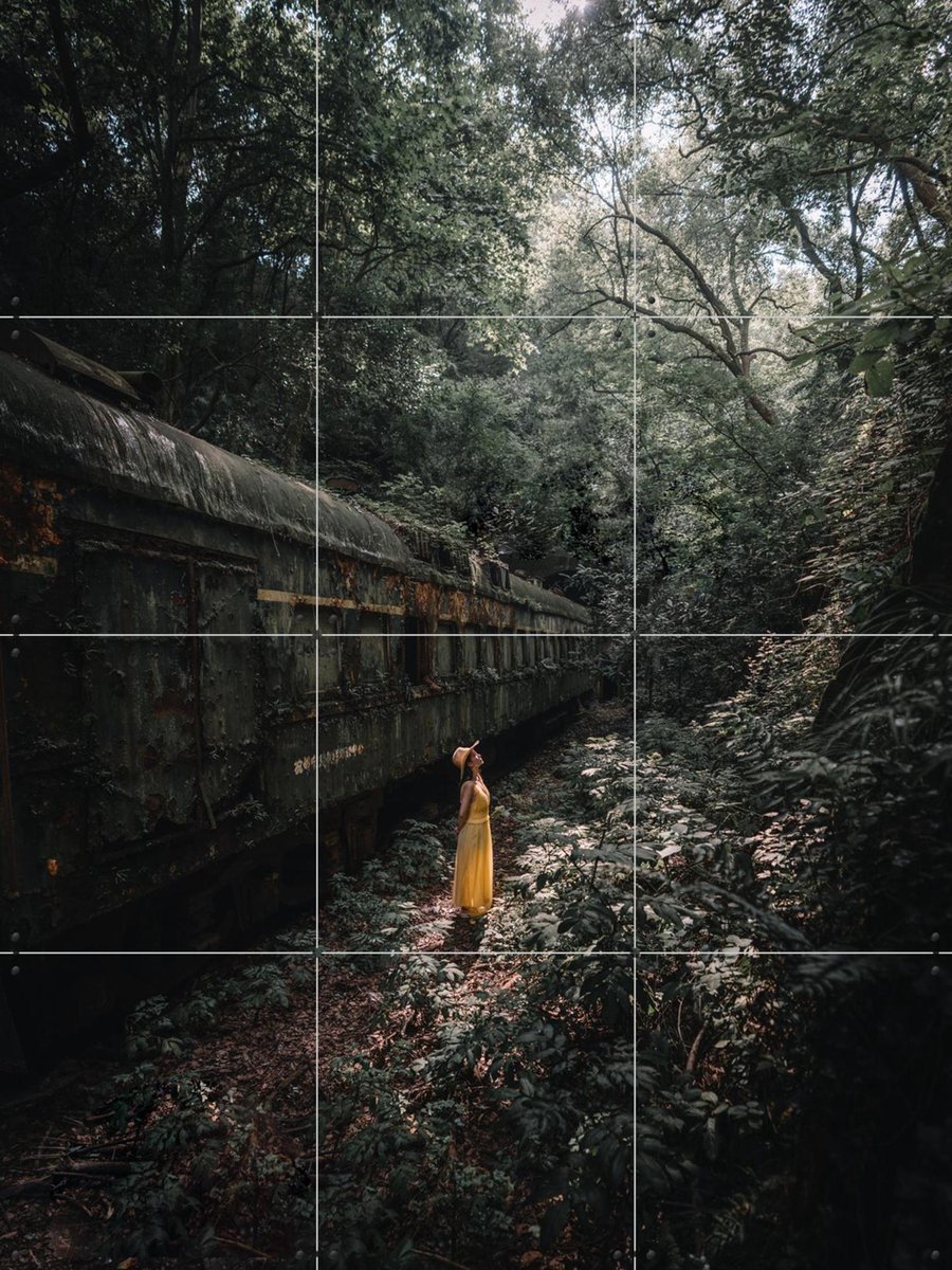 IXXI Forest, Tristan Zhou - 60 x 80 cm - Gratis ophangtool - Grote wanddecoratie en posters - Fotografie, Mancave, Woonkamer, Slaapkamer, Bossen