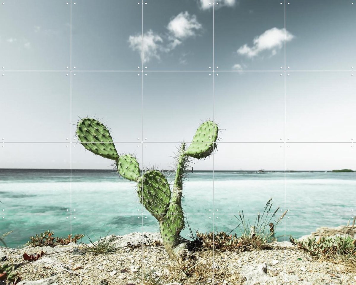 IXXI Tropical Cactus, Claire Droppert - 100 x 80 cm - Gratis ophangtool - Grote wanddecoratie en posters - Minimalisme, Naturalisme, Fotografie