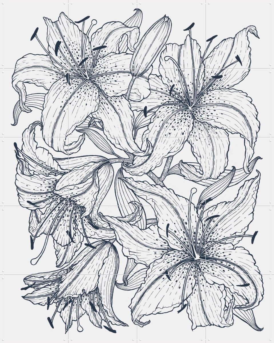 IXXI Lilies Grey, Geertje Aalders - 80 x 100 cm - Gratis ophangtool - Grote wanddecoratie en posters - Illustraties, Line art, Woonkamer, Slaapkamer