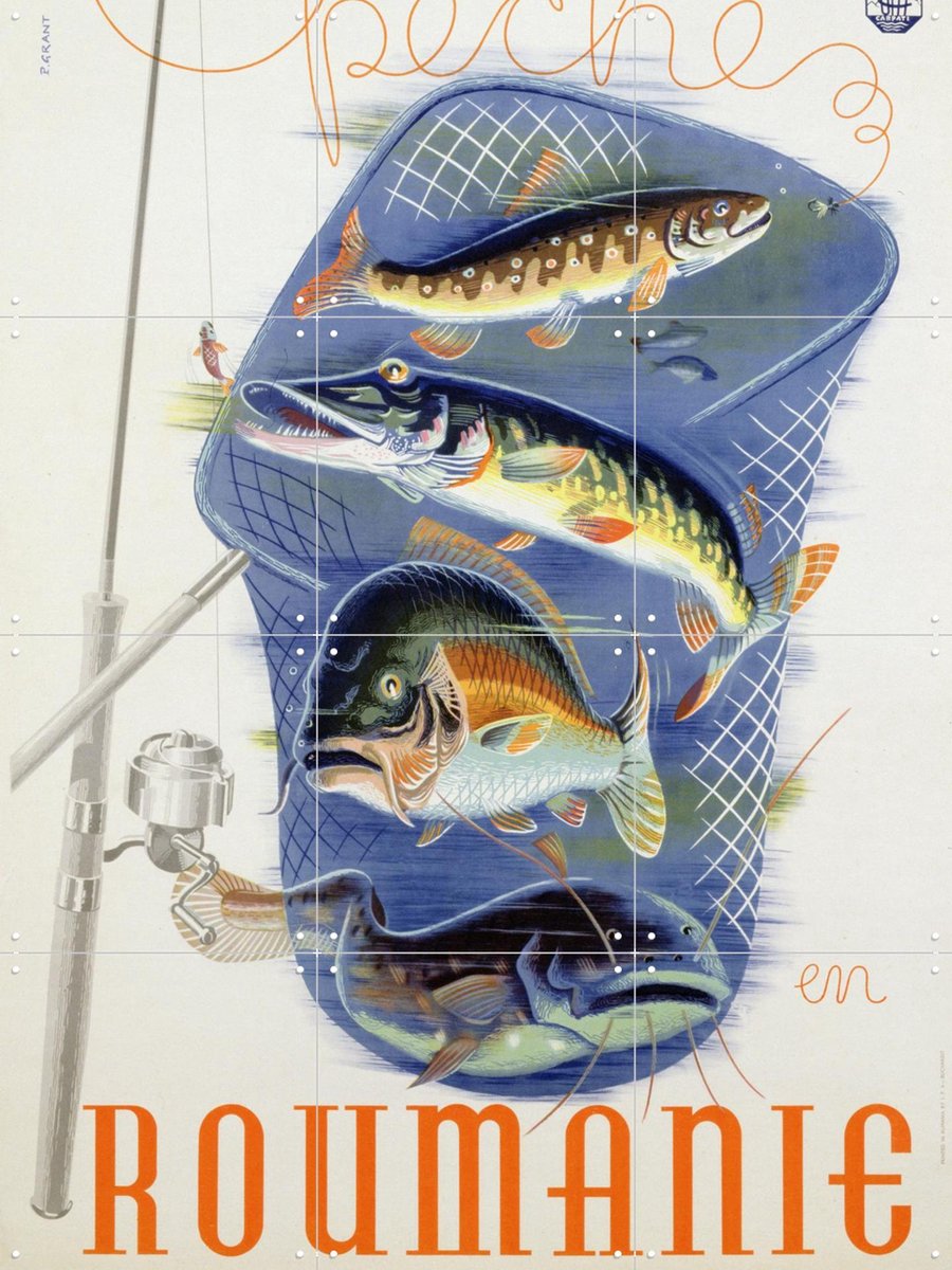 IXXI Fish from Romania, Bridgeman Images - 60 x 80 cm - Gratis ophangtool - Grote wanddecoratie en posters - Vintage, Illustraties, Eetkamer