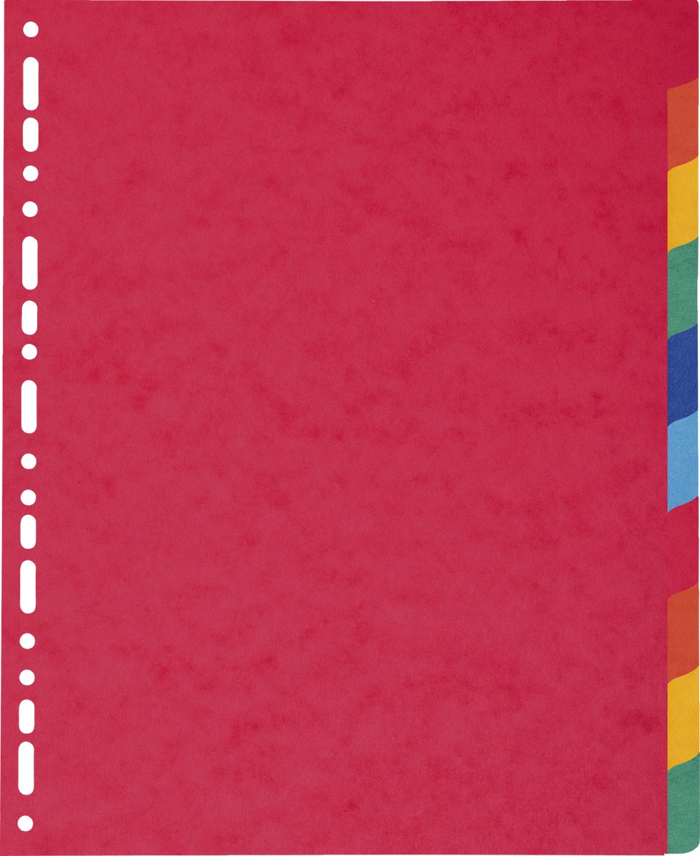 Exacompta 2410E 10x INTERCAL.CARTE LUSTR