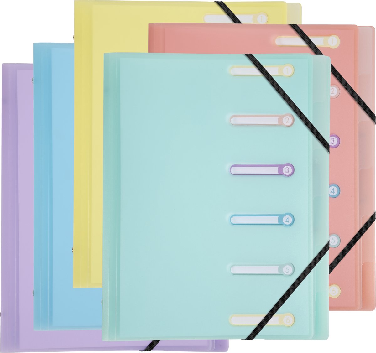 Exacompta 10x Sorteermap polypropyleen met 3 kleppen Chromalin Pastel 6 verdelingen - Geassorteerd - 56170E