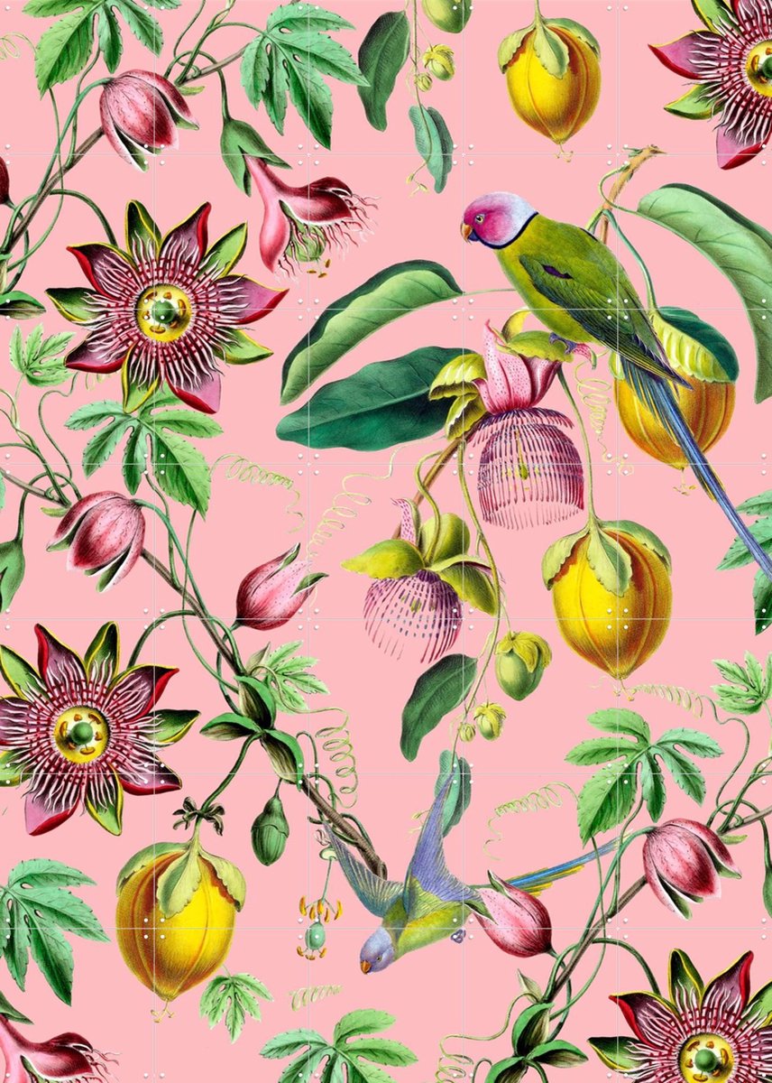 IXXI Botanical Garden, Creative Lab Amsterdam - 100 x 140 cm - Gratis ophangtool - Grote wanddecoratie en posters - Kleurrijk, Babykamer, Kinderkamer