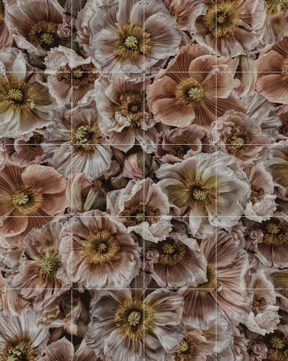 IXXI Wild Poppies, STUDIO HANNAH LEMHOLT - 80 x 100 cm - Gratis ophangtool - Grote wanddecoratie en posters Bloemen, Winter, Natuur