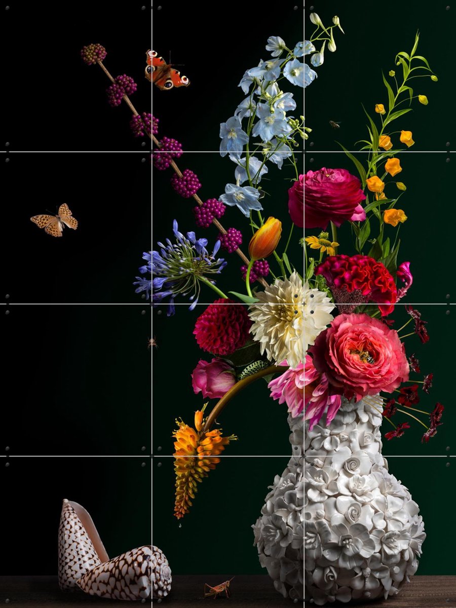 IXXI Baltazar van der Ast, Sander van Laar - 60 x 80 cm - Gratis ophangtool - Grote wanddecoratie en posters - Klassiek, Fotografie, Botanisch