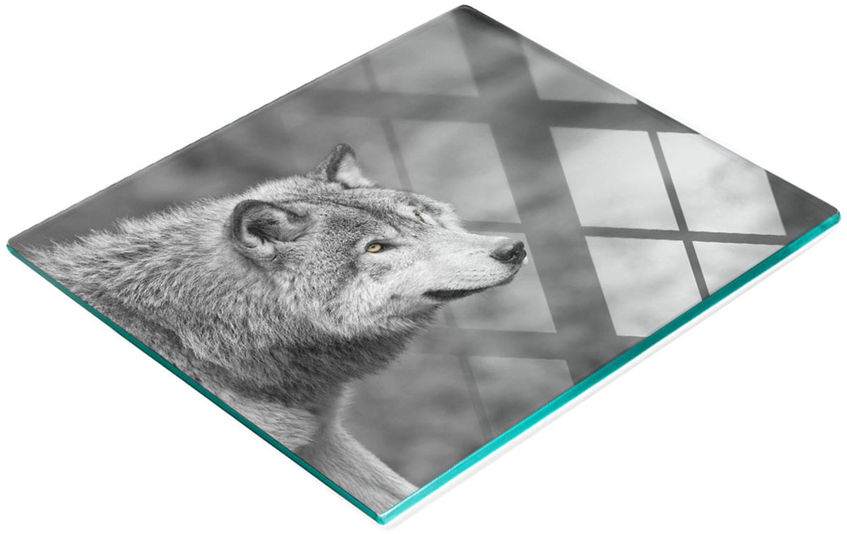 Multifunctioneel decoratief glazen bord met print van een grijze wolf, 60x52 cm