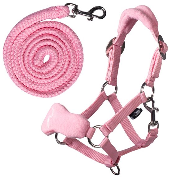 Roze halster en bijpassend halstouw met fleece voering en zilverkleurige gespen.