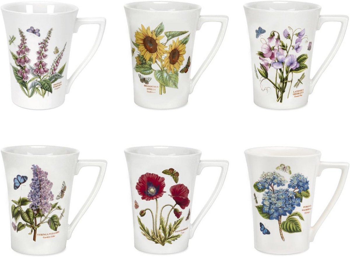 Set van 6 Koffiemokken 300ml met Botanische Tuin Dessins