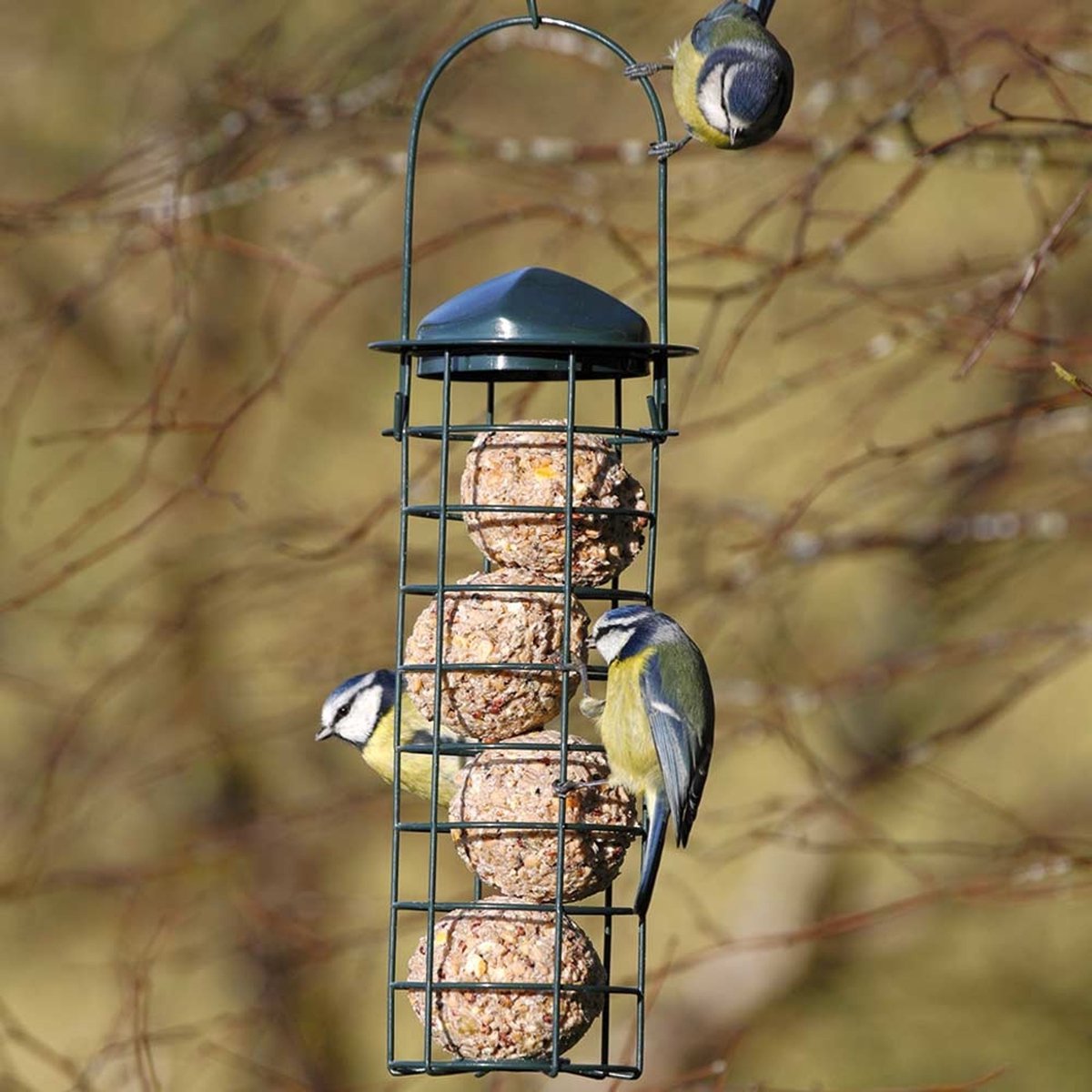 CJ Wildlife - Vetbolhouder V2 voor 4 Mezenbollen - Groen - Vogelvoederplek