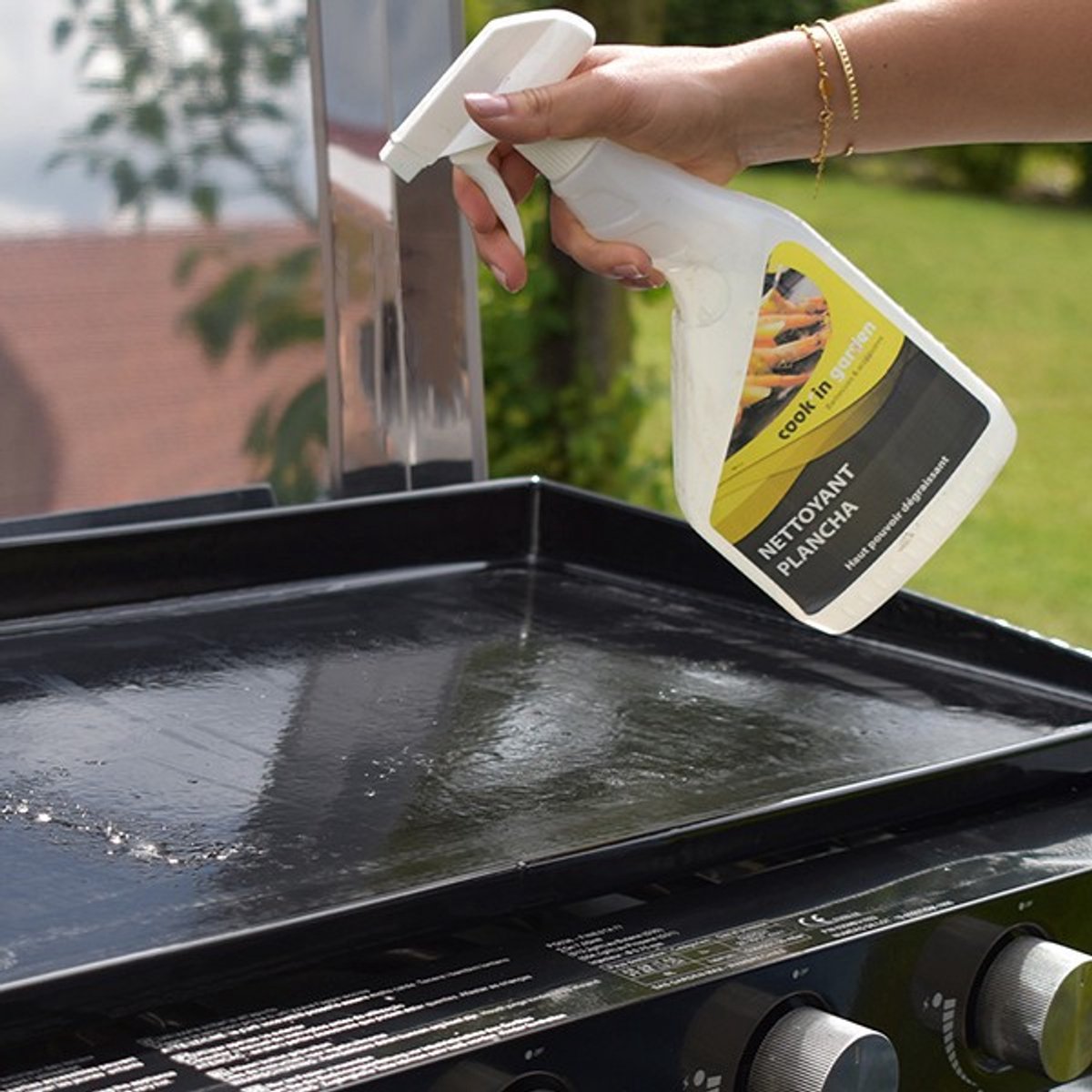 Cleaning Vapo Ontvetter Plancha  500ml