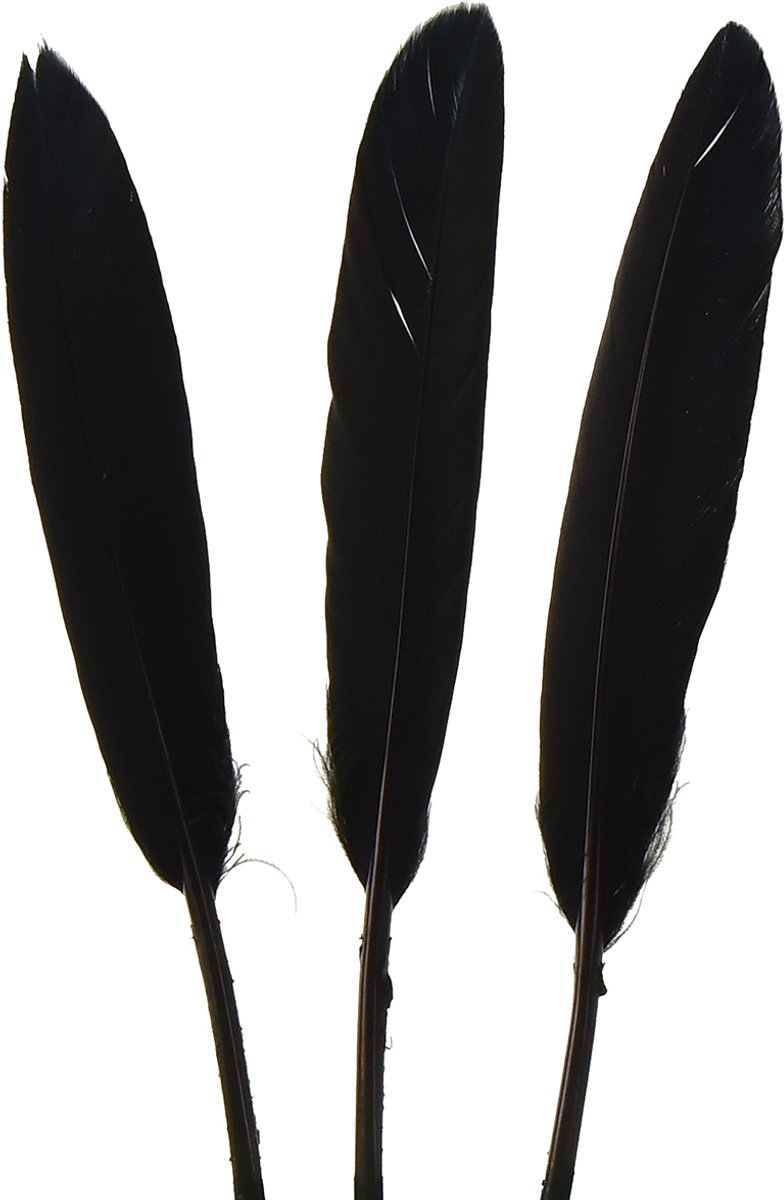 Zwarte Veren Decoratieve Ganzenveren Zwart 11-14cm 180 st, 180 Stück