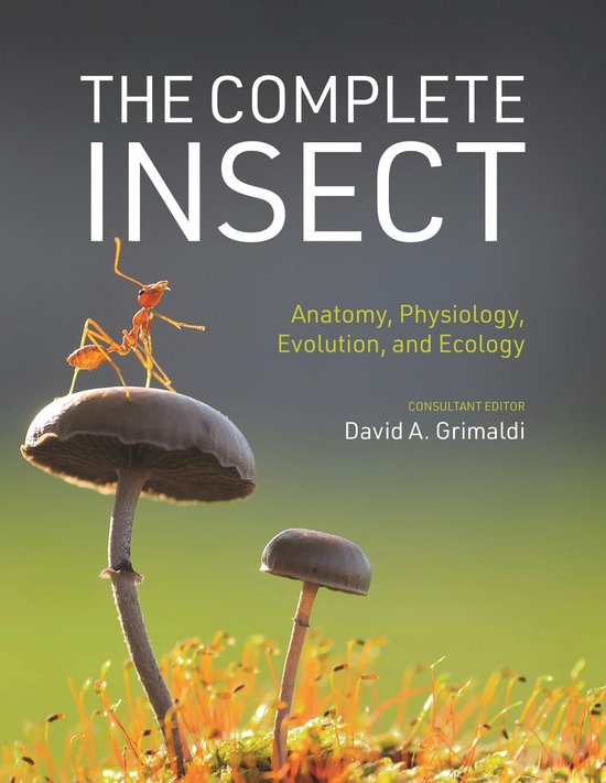 Boek "The Complete Insect" met een mier op een paddenstoel.