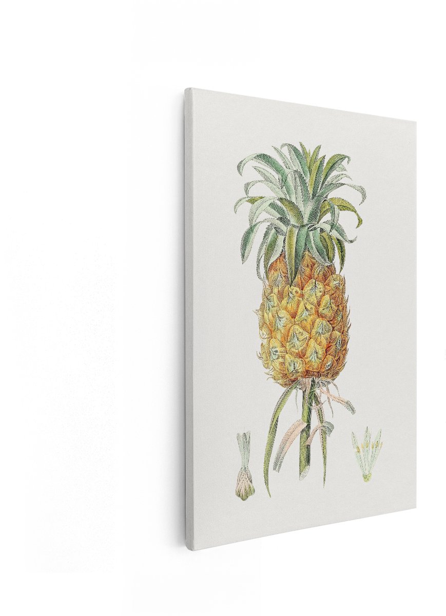 Artaza Canvas Schilderij Ananas - 80x120 cm - Wanddecoratie Botanisch - Muurdecoratie Vintage - Decoratie Fruit - Schilderijen Op Canvas