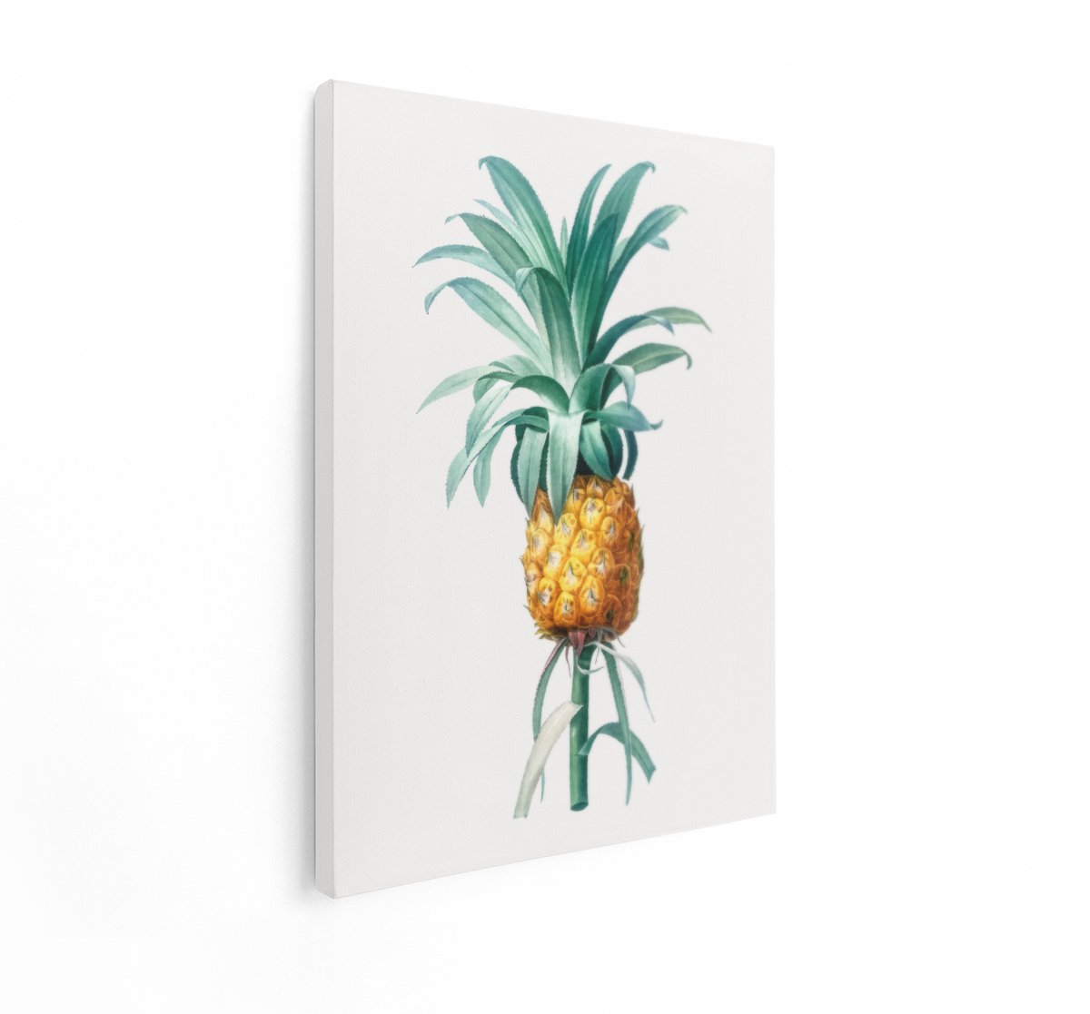 Artaza Canvas Schilderij Ananas - 60x80 cm - Wanddecoratie Vintage - Muurdecoratie Botanisch - Decoratie Fruit Woonkamer