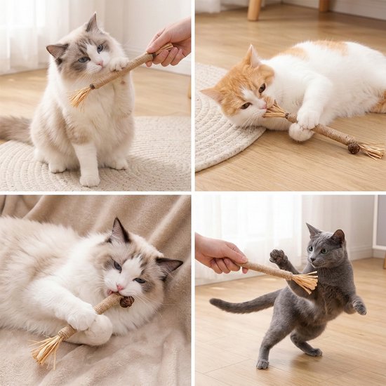Bâtons Matatabi pour Chats - 4 pièces - Jouets pour chats 100% naturels et comestibles - speelgoed à l'herbe à chat