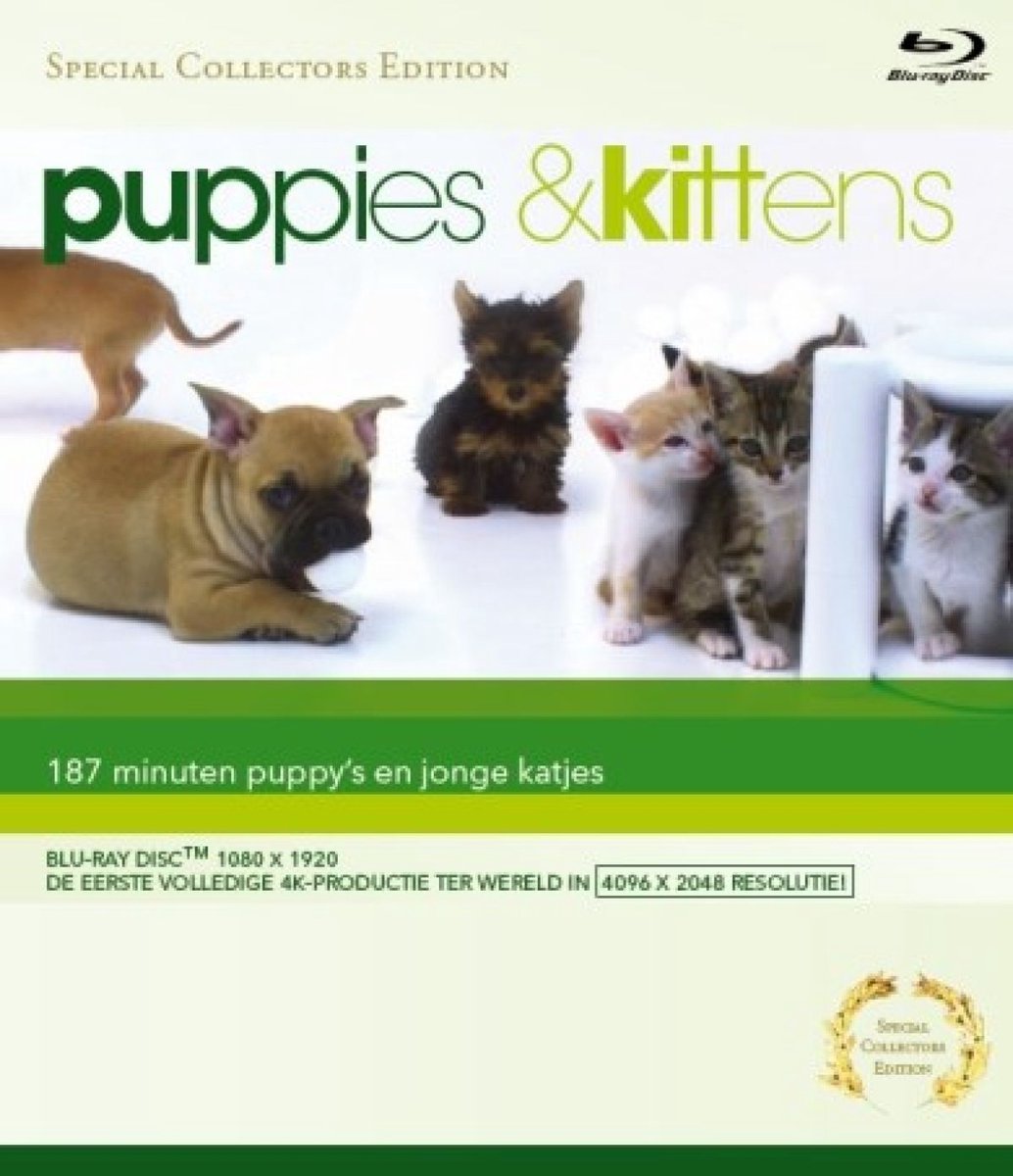 Puppies & Kittens DVD