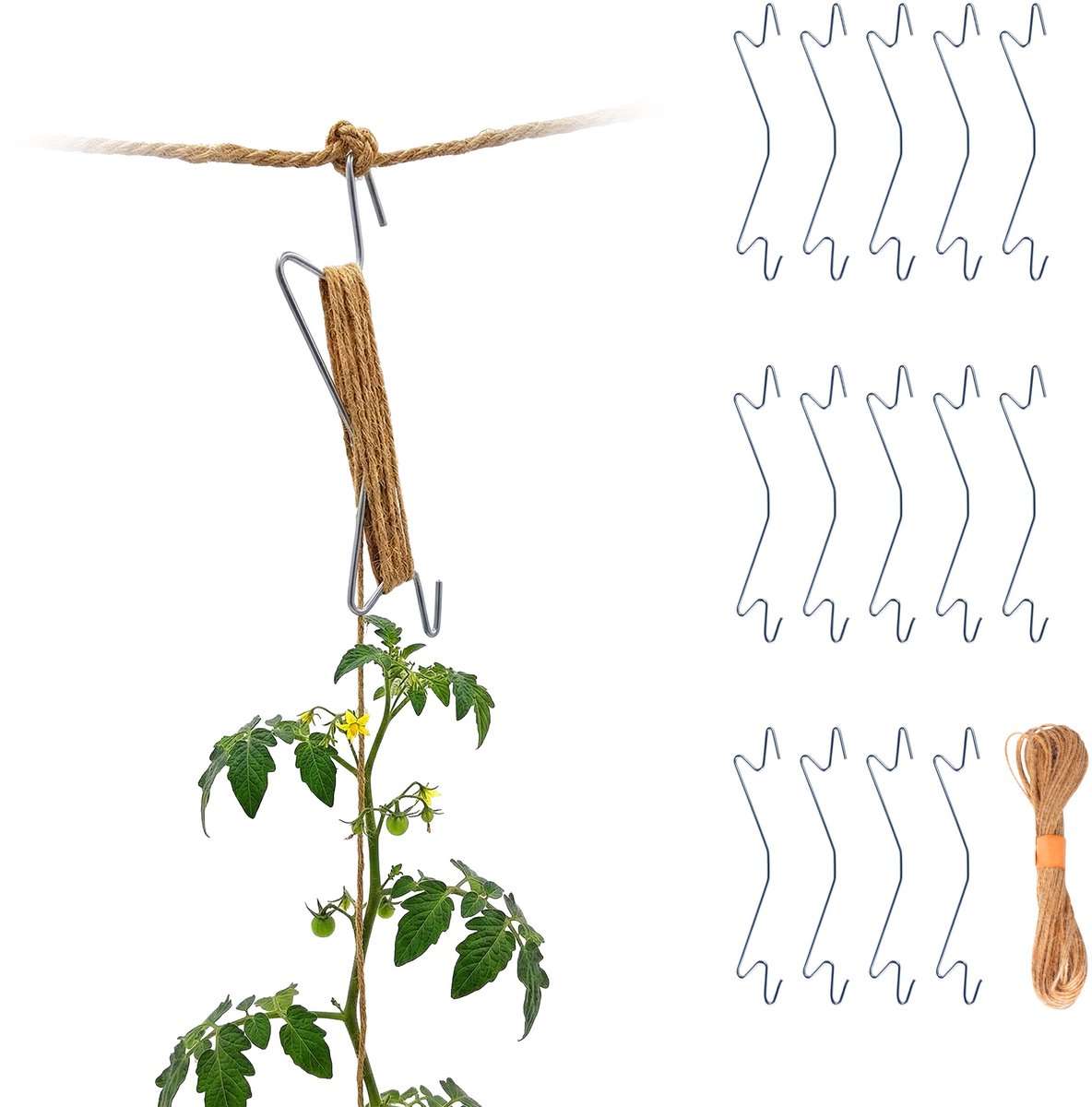 Tomatenhaken - set van 15 - met touw