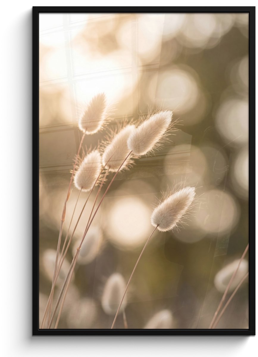 FrameYourWall Poster in lijst - Fotolijst 80x120 cm - Posters - Hazestaartgras - Wit - Zonlicht - Posterlijst zwart - Decoratie - Wanddecoratie woonkamer - Muurdecoratie slaapkamer