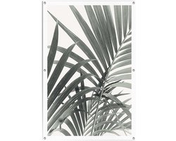 Tuinposter Palmbladeren - 120 x 80 - Canvas - REINDERS