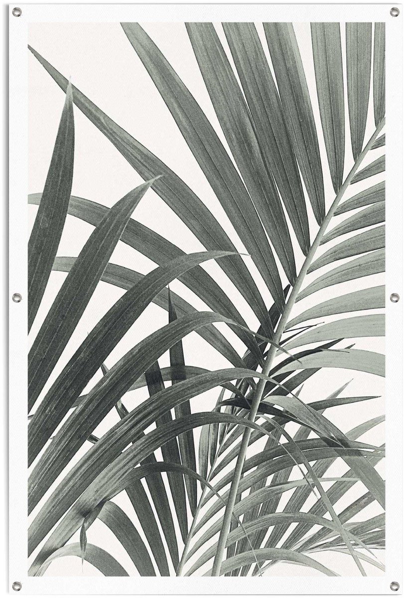 Tuinposter Palmbladeren - 120 x 80 - Canvas - REINDERS