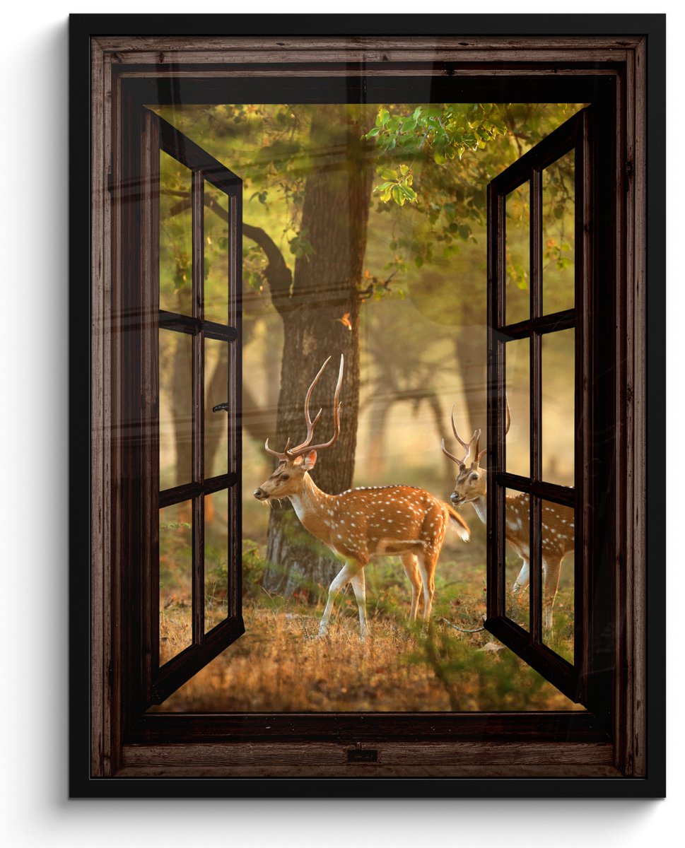 FrameYourWall Poster in lijst - Fotolijst 50x70 cm - Posters - Herten - Bos - Herfst - Bosdieren - Natuur - Hert - Doorkijk - Posterlijst zwart - Decoratie - Wanddecoratie woonkamer - Muurdecoratie slaapkamer Bruin