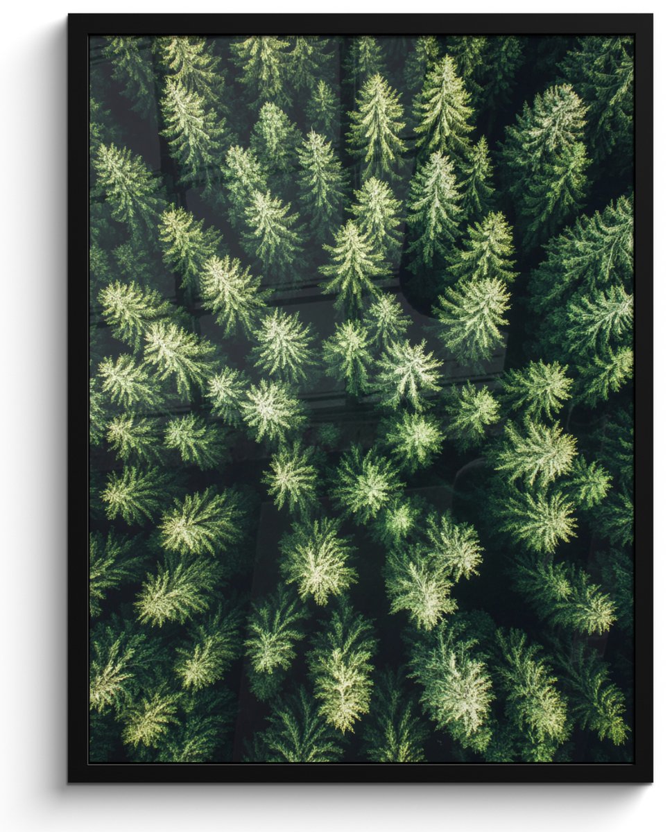 FrameYourWall Poster in lijst - Fotolijst 50x70 cm - Posters - Bomen - Naaldwoud - Structuur - Posterlijst zwart - Decoratie - Wanddecoratie woonkamer - Muurdecoratie slaapkamer
