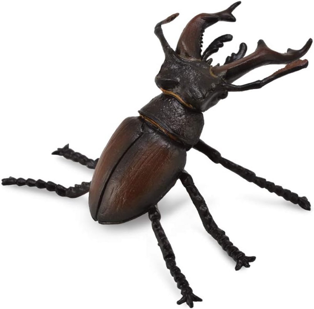Realistisch Insectenfiguur: Boskever
