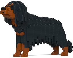 Bouwstenen Cavalier King Charles Spaniël - 3D Puzzel Model Dieren Set voor Kidults