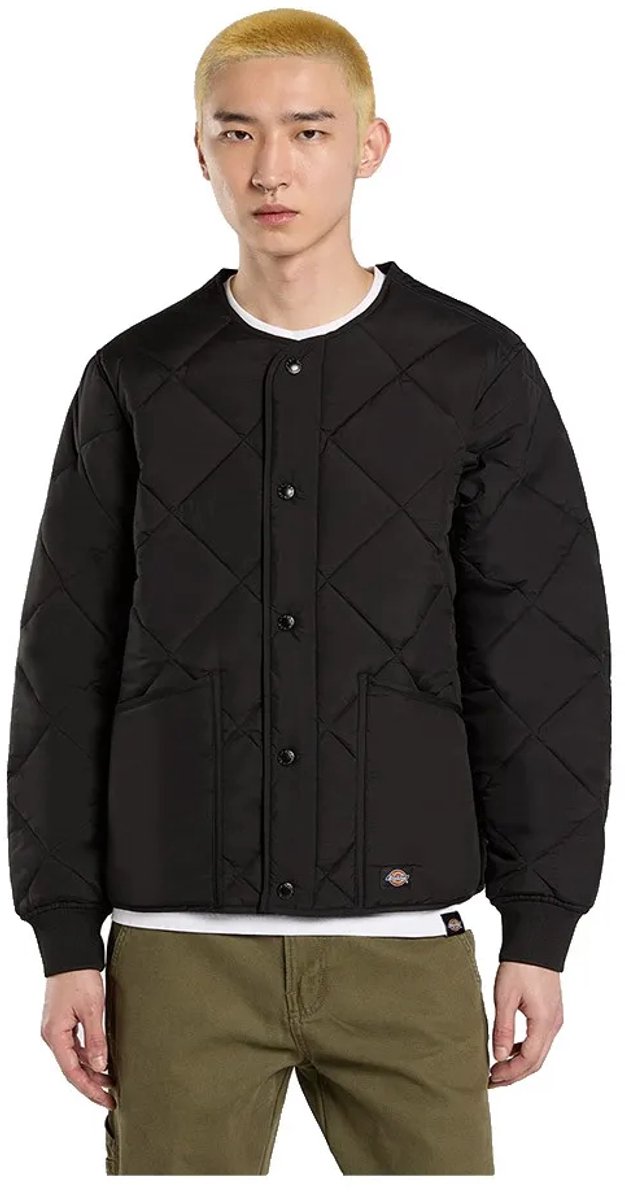 Dickies Samburg Liner Jas XS Man Zwart